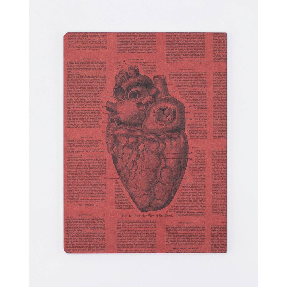 Anatomical Heart Softcover Notebook | Lined