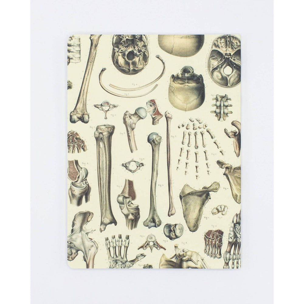 Skeleton Plate 2 Softcover Notebook | Lined