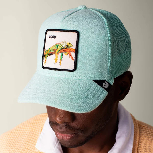 Terry Cloth Iguana