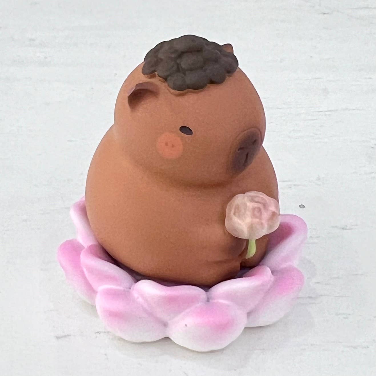 Capybara Figurine Blind Box-4