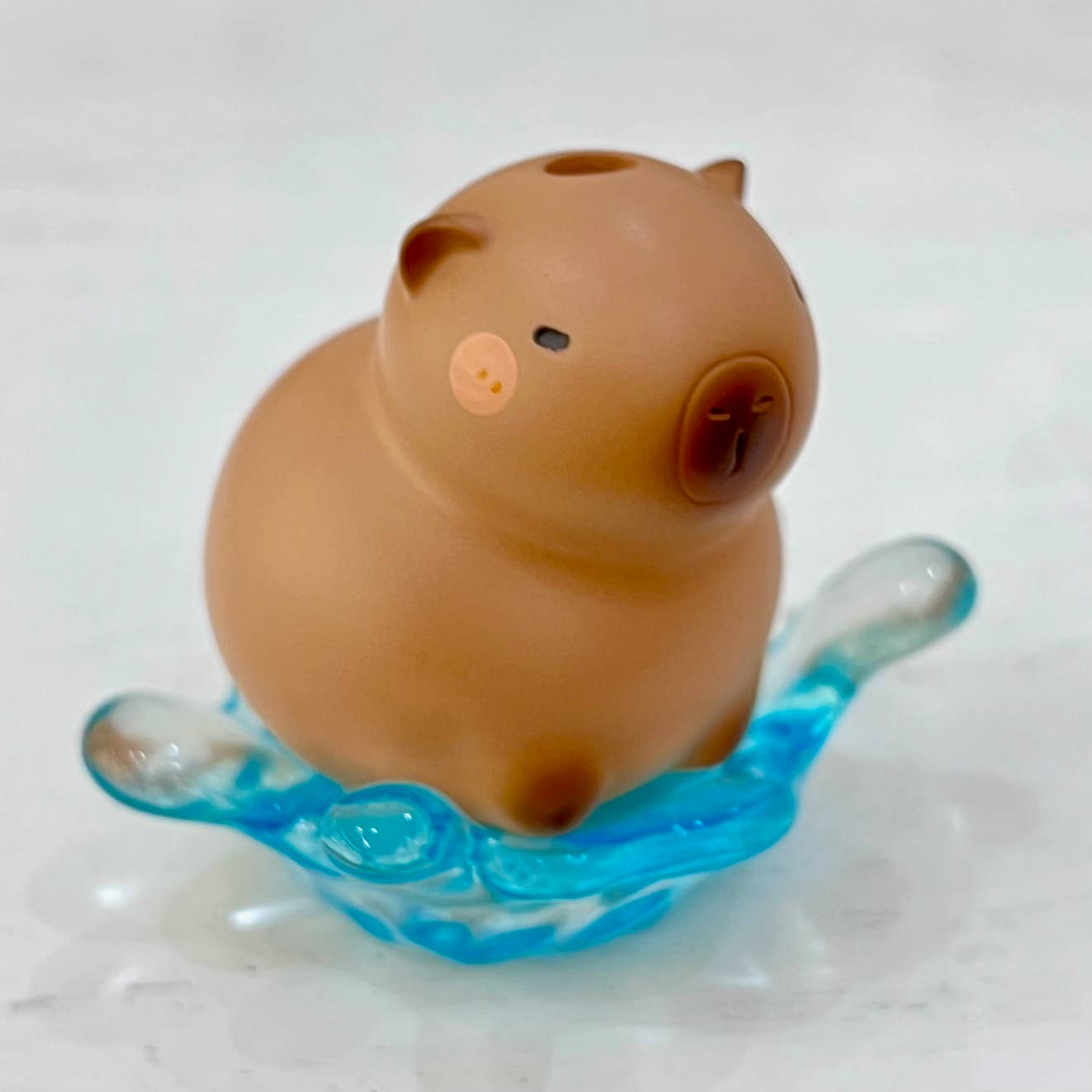 Capybara Figurine Blind Box-4