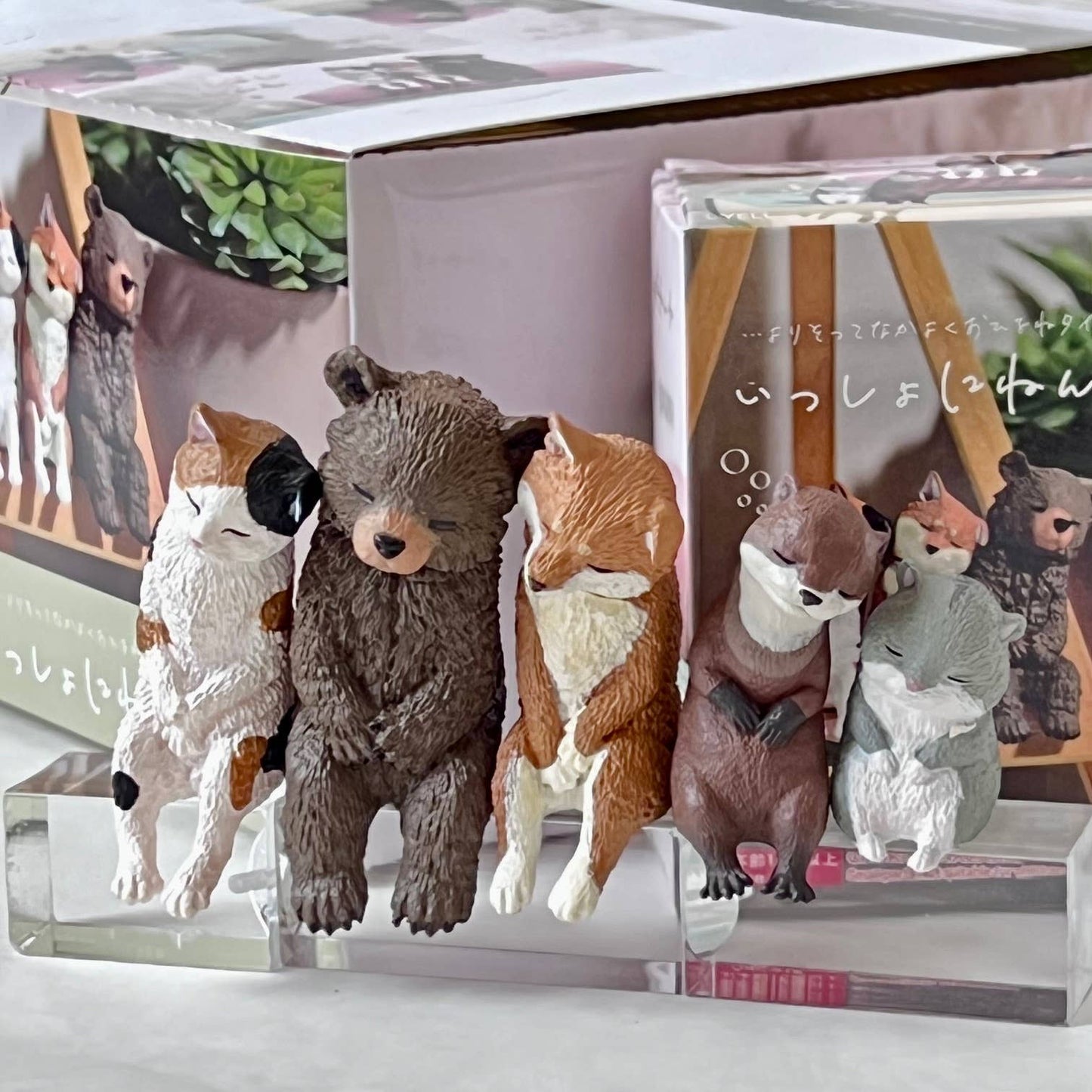 Sleepy Animals Figurine Blind Box
