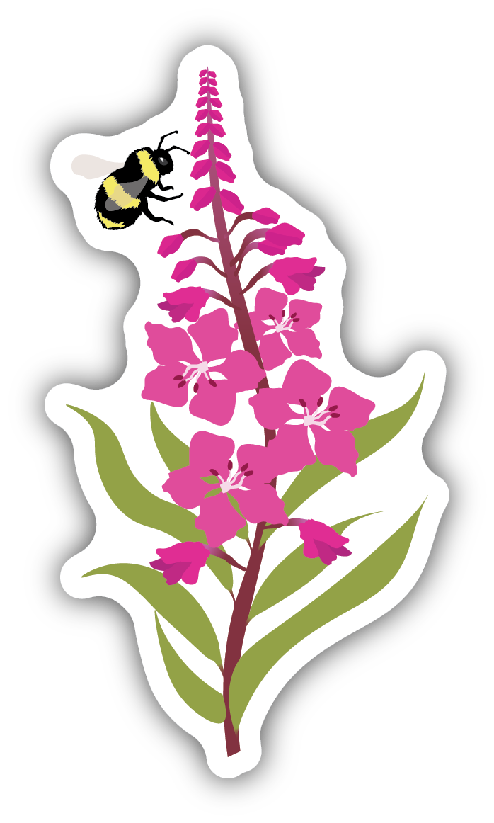 Fireweed & Bee Sticker