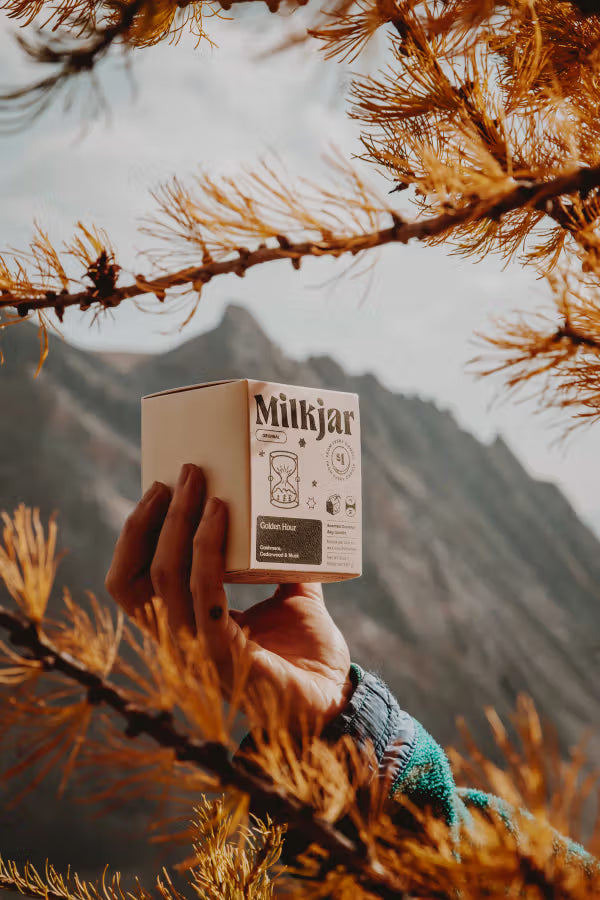 Golden Hour | 8oz Cashmere Soy Candle