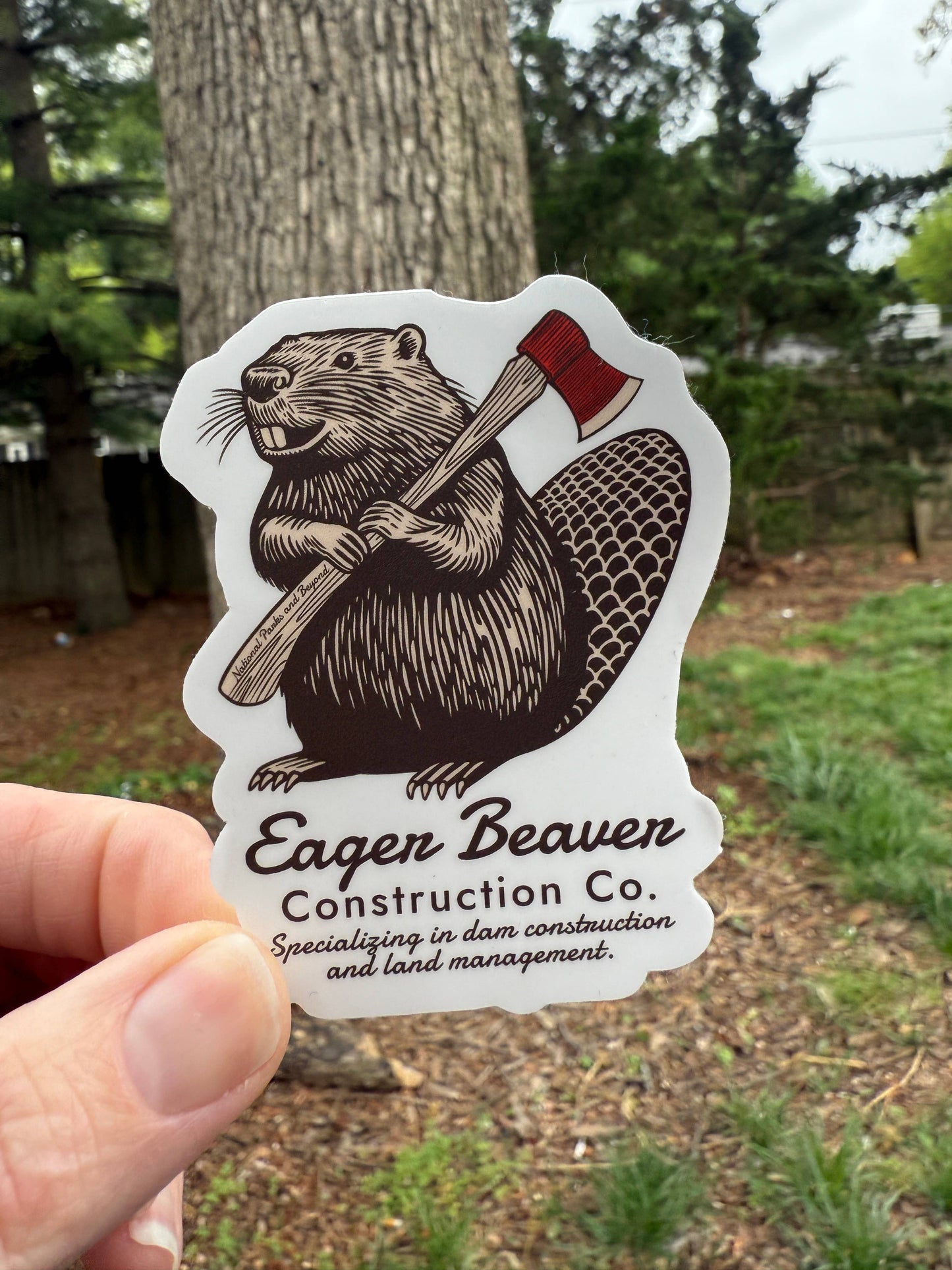 Eager Beaver Construction Company Vinyl Sticker