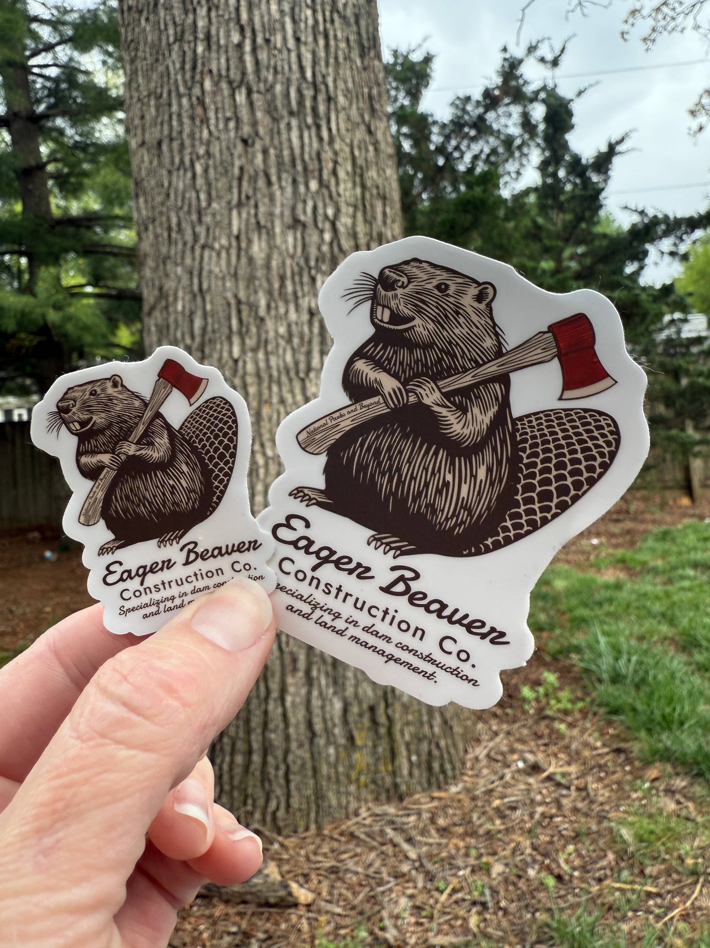 Eager Beaver Construction Company Vinyl Sticker
