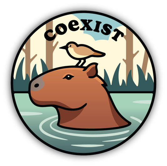 Coexist Sticker