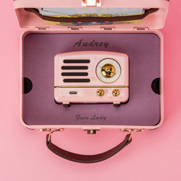Metal Bluetooth & FM Radio Speaker - Pink