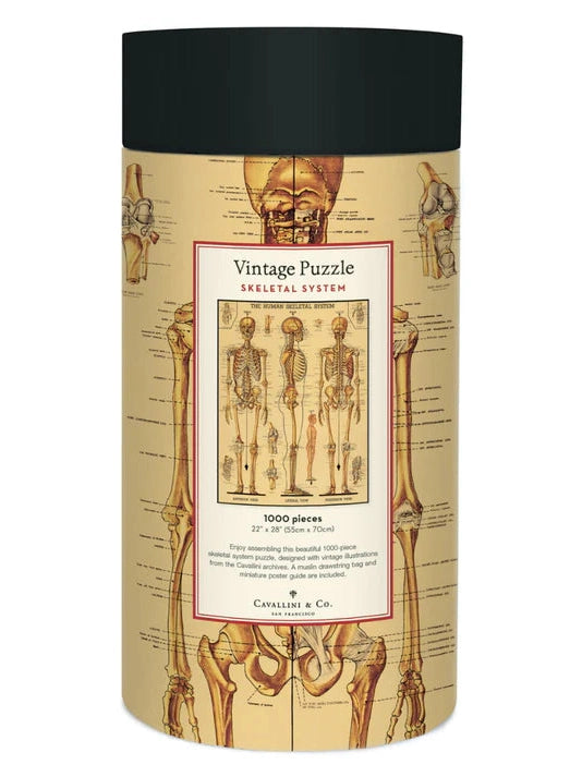 Skeletal System 1000 Piece Puzzle