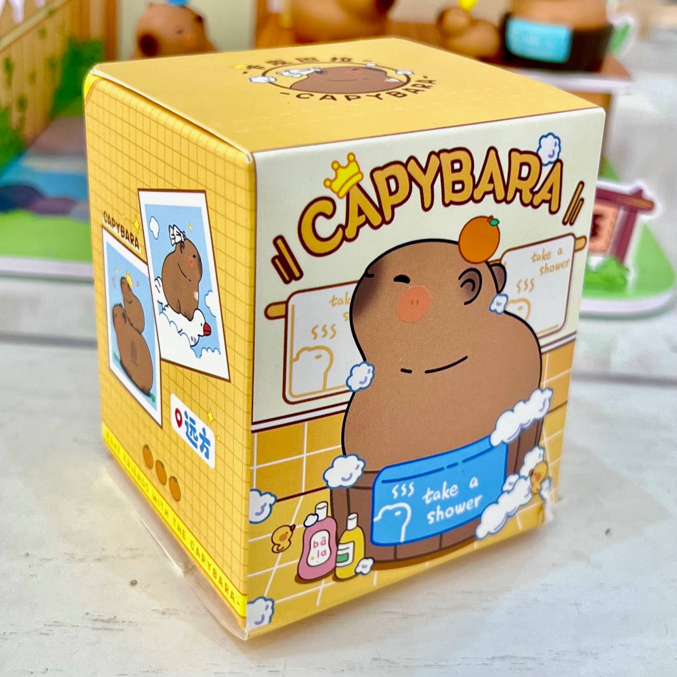 Capybara Figurine Blind Box-4