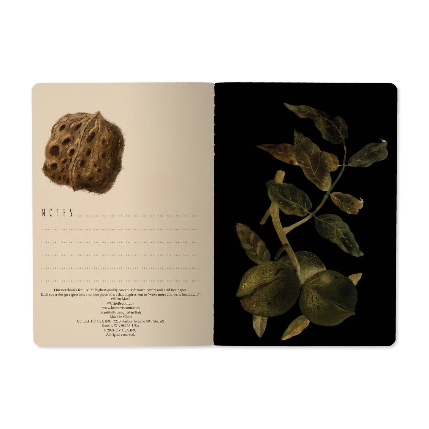 Softcover Notebook | Night Garden