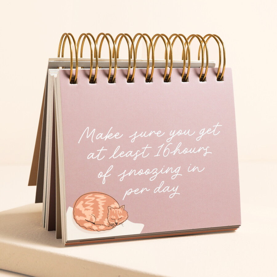 Be More Cat Desktop Flip Chart