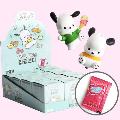 Sanrio Pochacco Picnic Theme Collectable Mystery Figure Charm