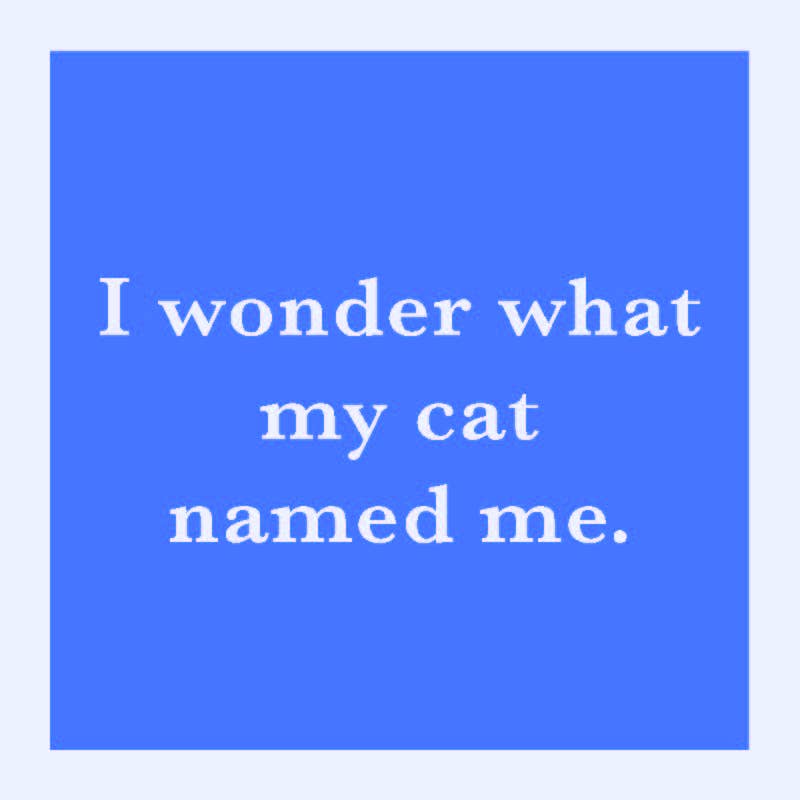 COASTER Cat Named Me | Funny Party Gift | Home Bar Decor