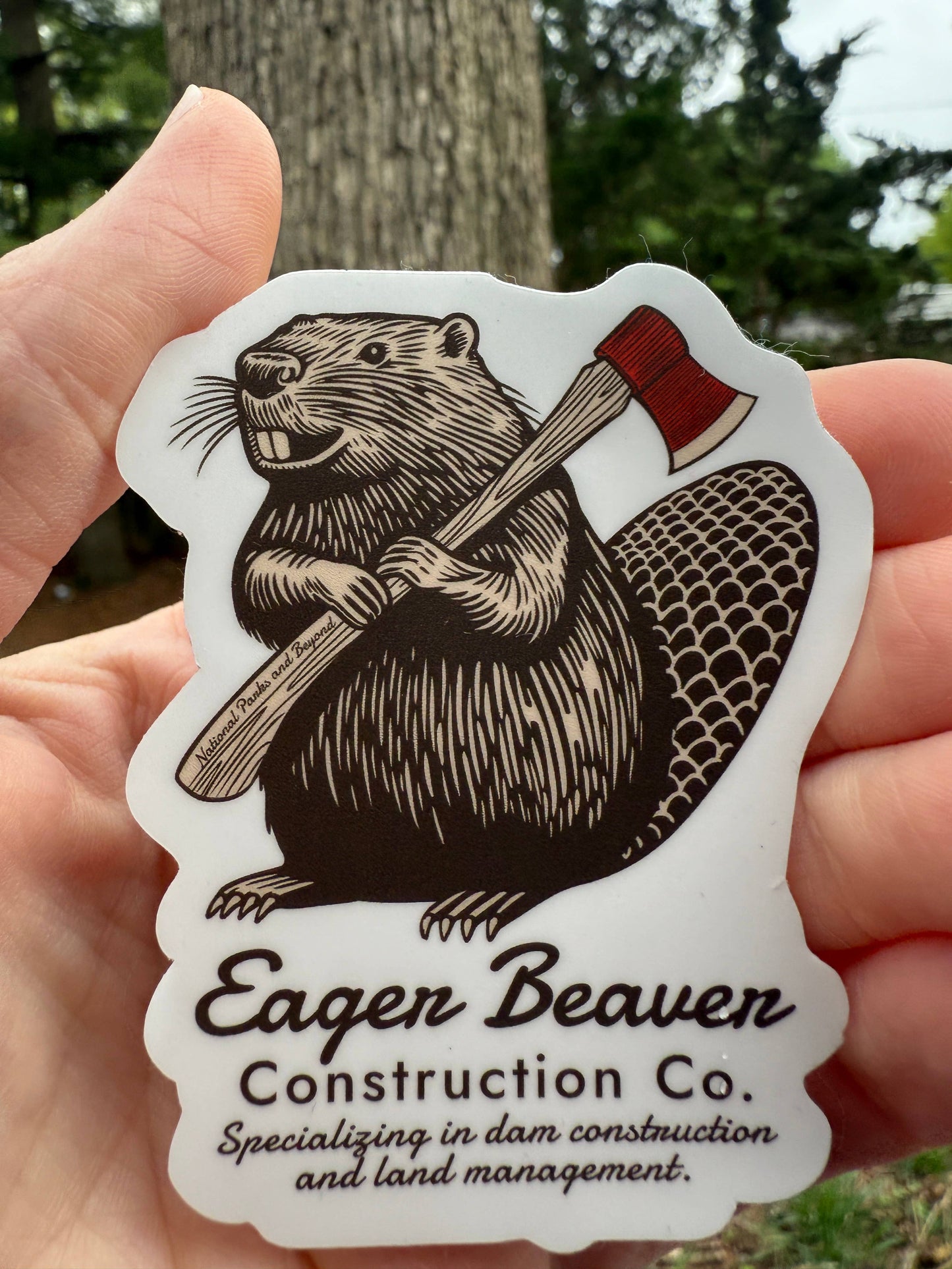 Eager Beaver Construction Company Vinyl Sticker