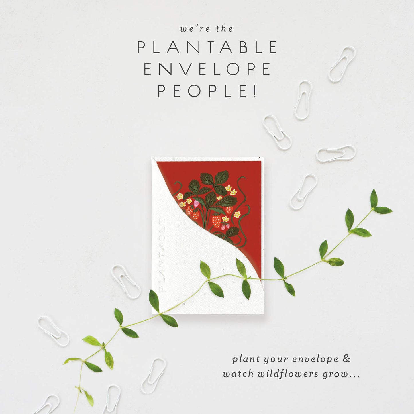 Sweet Strawberry Sprout - Thank You Mini Greet 2.5" x 3.5"