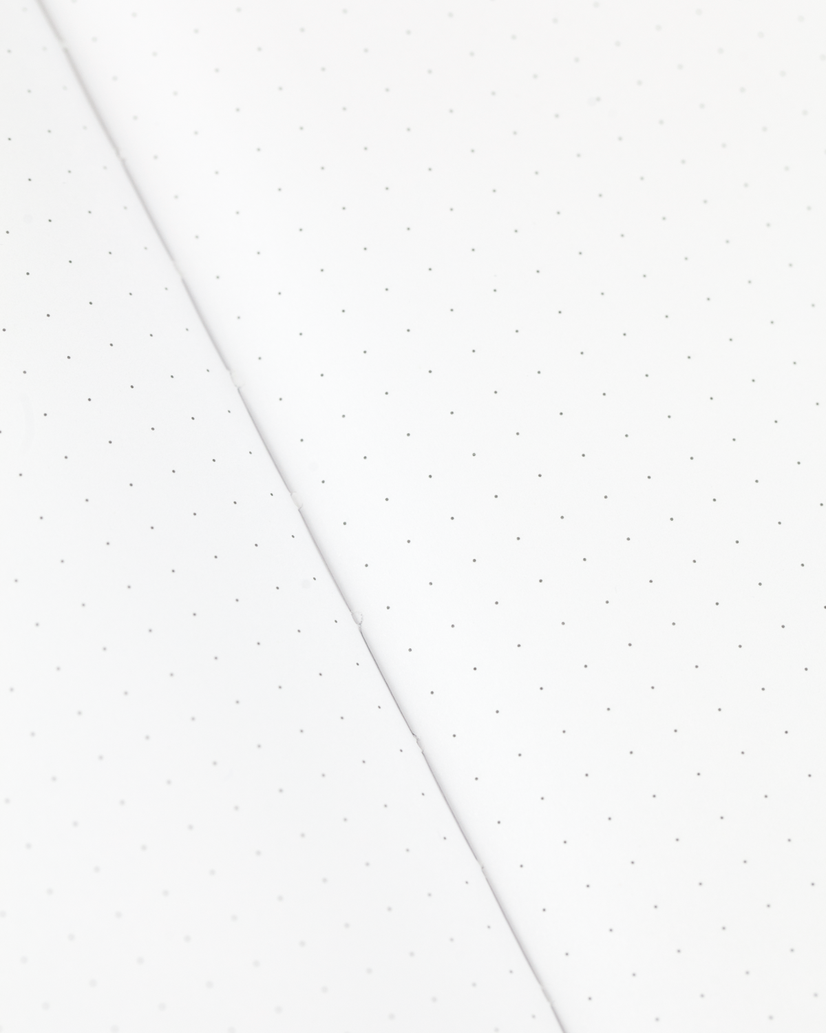 Anatomical Heart Hardcover Notebook | Dot Grid