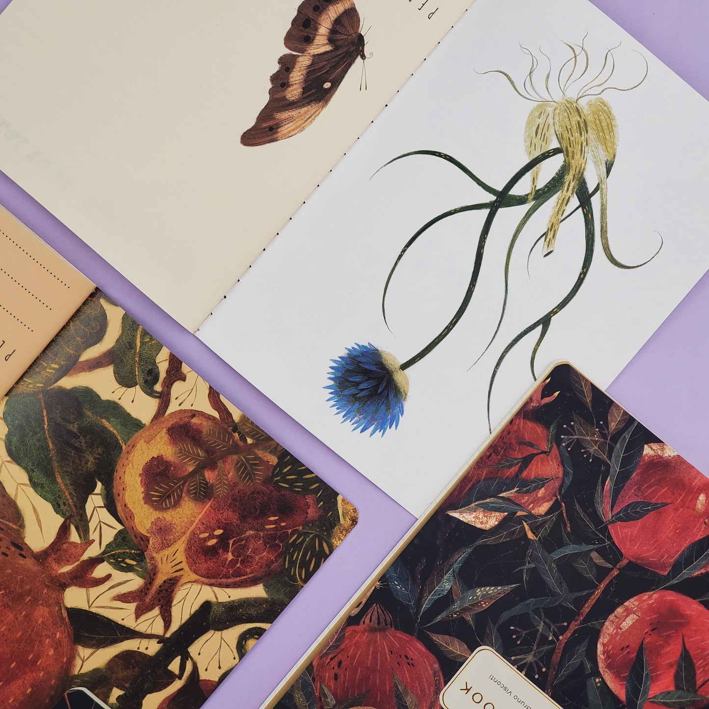 Softcover Notebook | Pom on the Vine