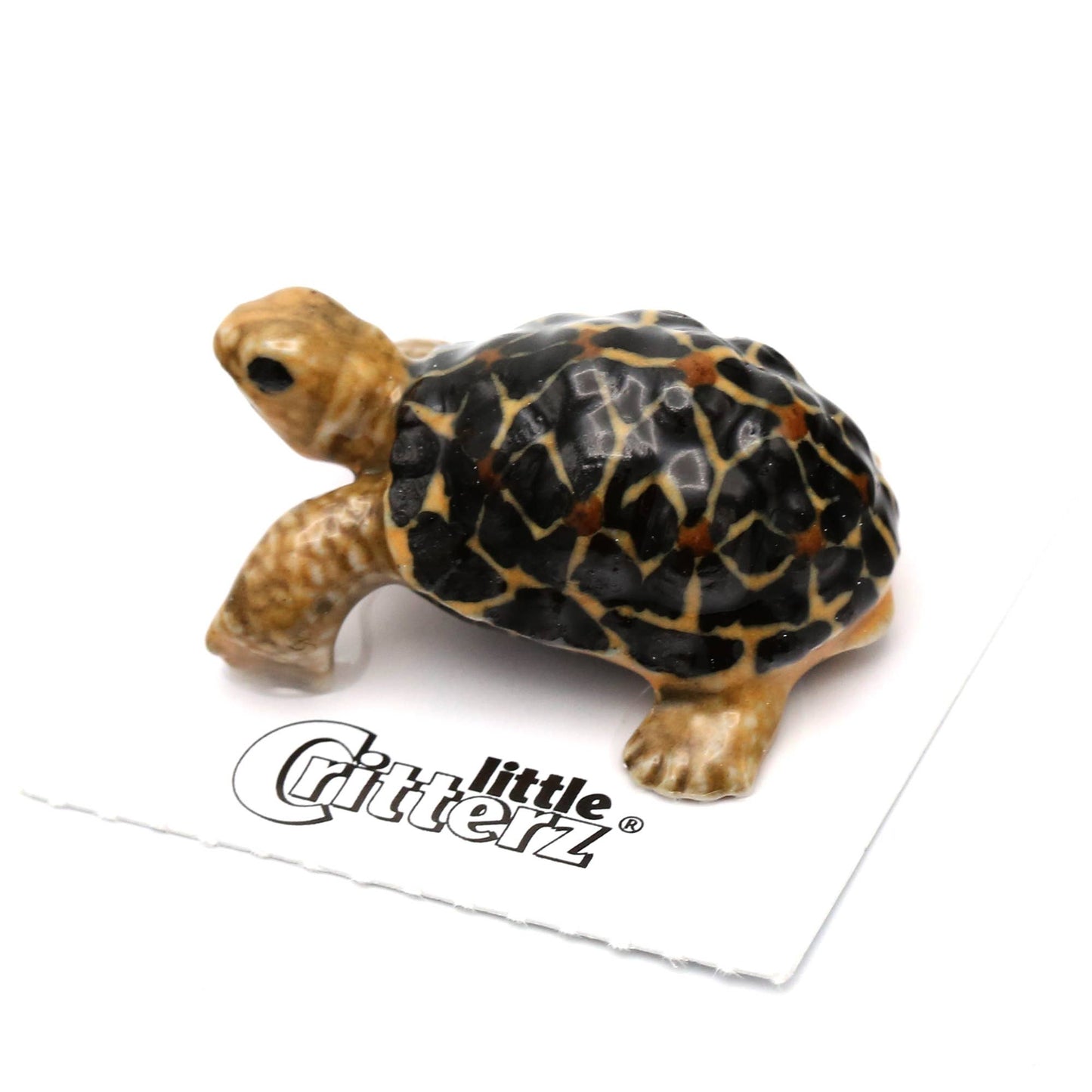 Star Tortoise Porcelain Miniature