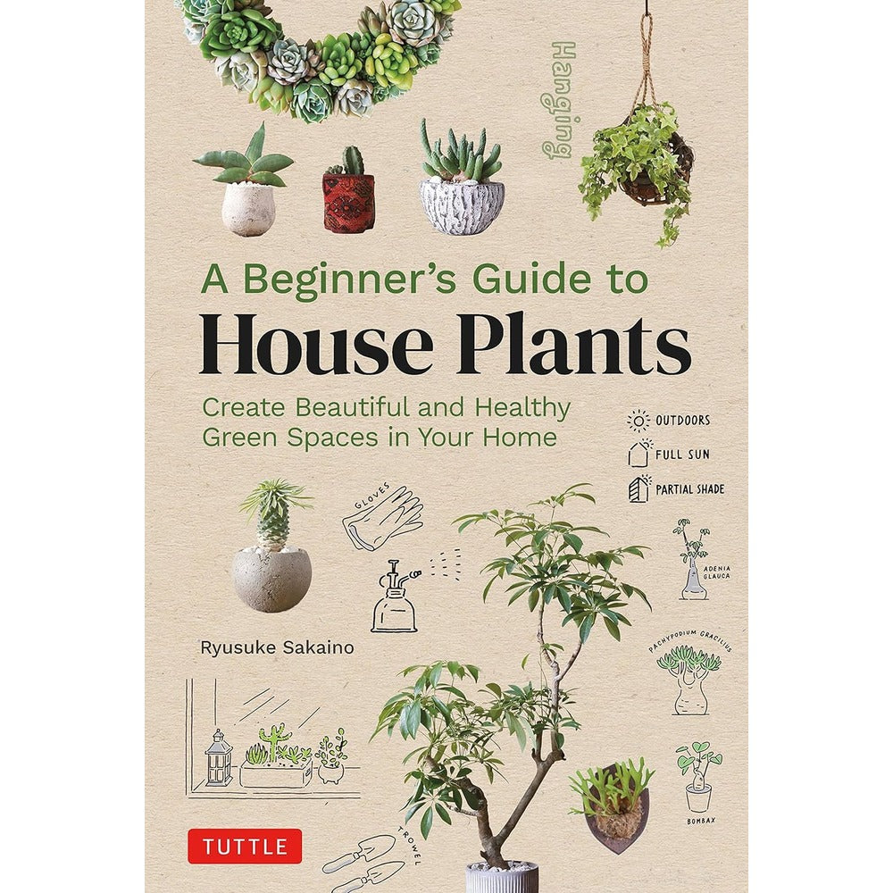 A Beginner's Guide to House Plants: Creating Beautiful and Healthy Green Spaces in Your Home