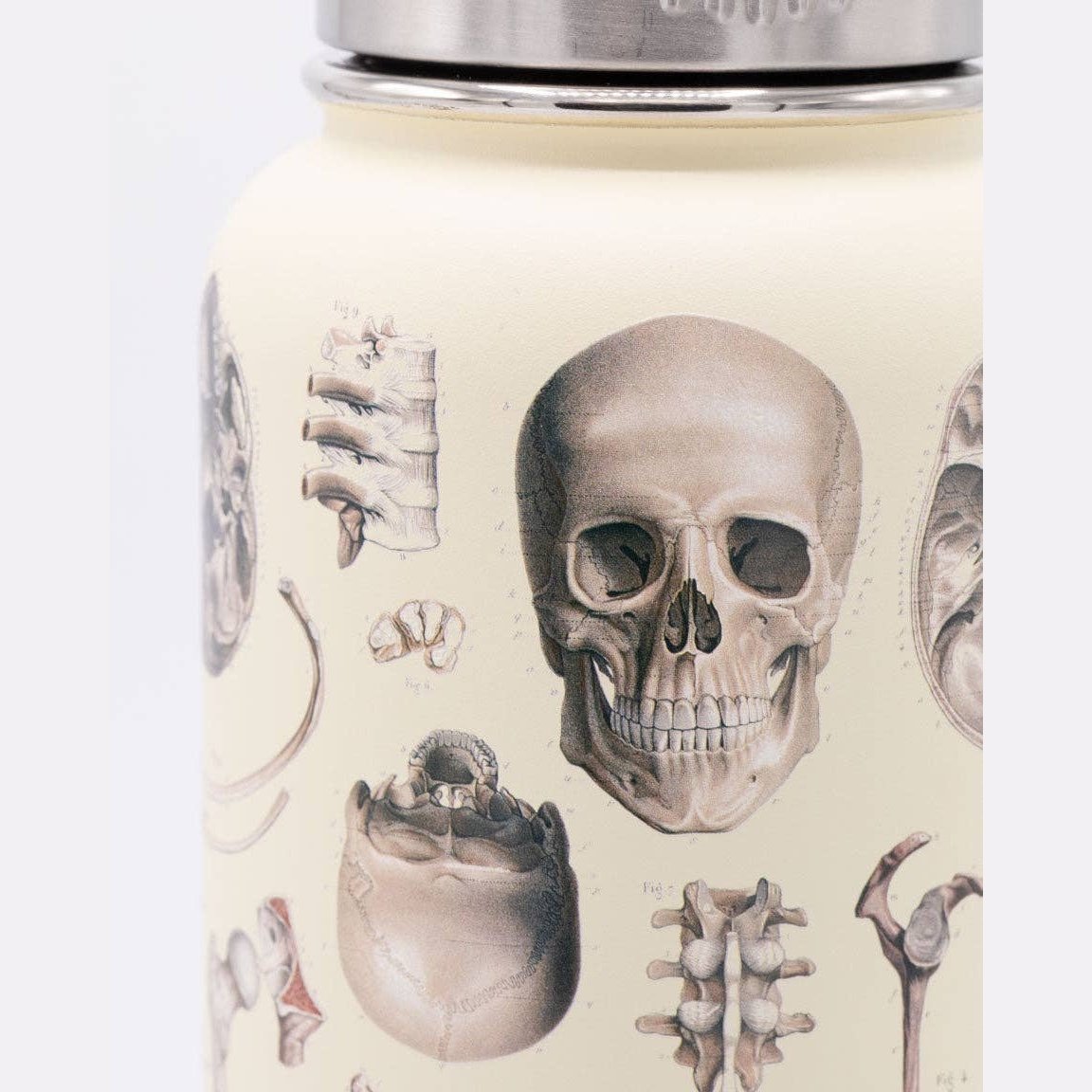 Skeleton 32 oz Steel Bottle