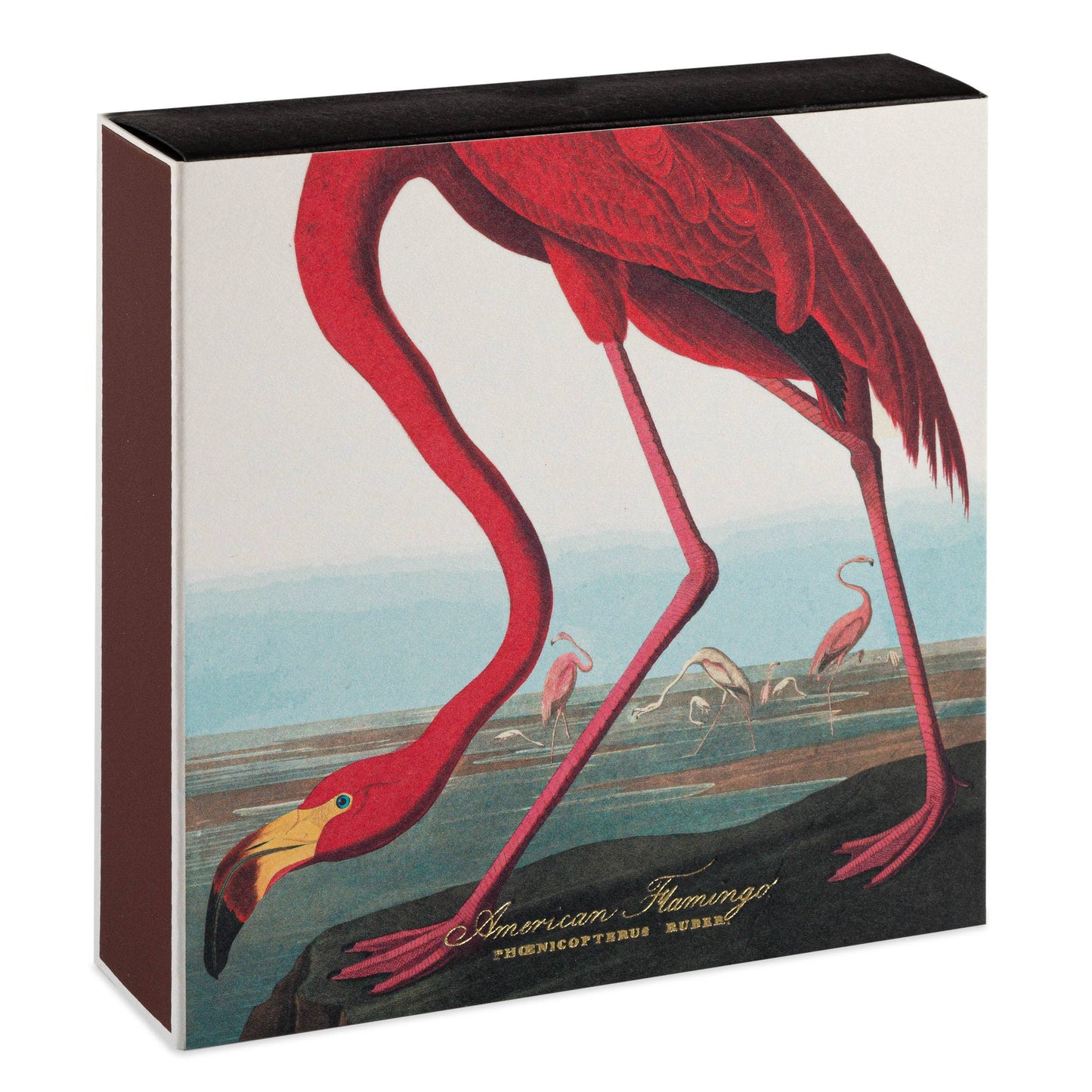 The American Flamingo | Square - Safety Matches