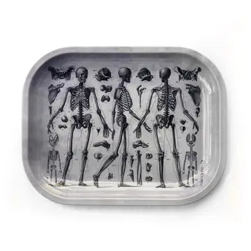 Small Metal Skeleton Diagram Trinket Tray / Vintage Anatomy
