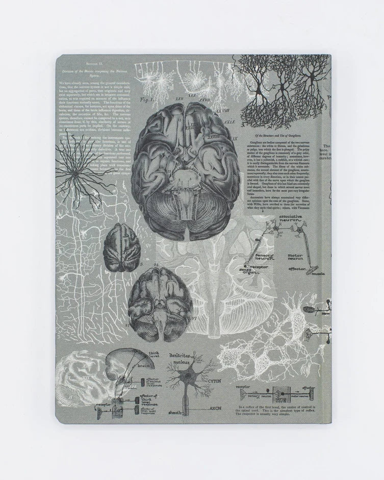 Brain Anatomy Hardcover Notebook | Dot Grid