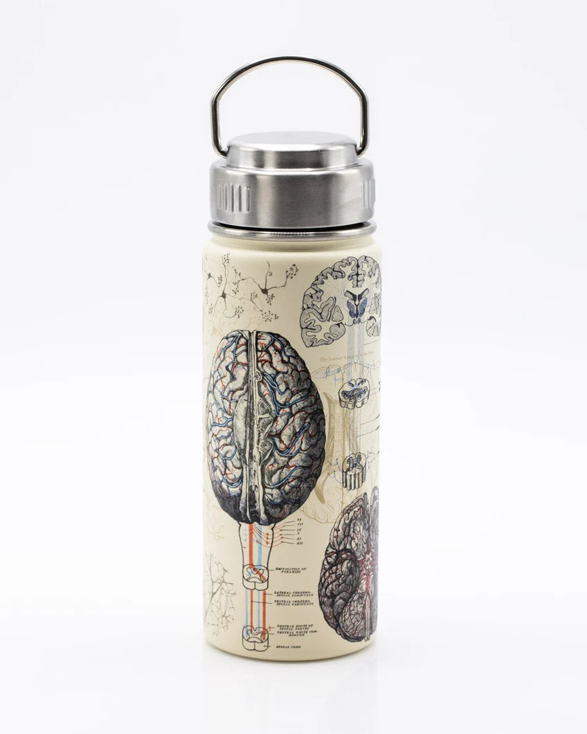 Brain & Neuroscience 18oz Steel Bottle