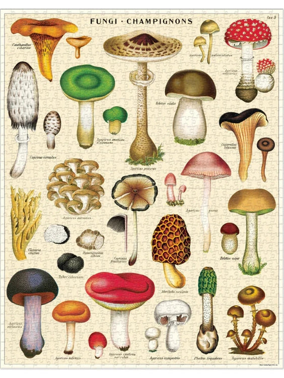 Mushrooms 1000 Piece Puzzle