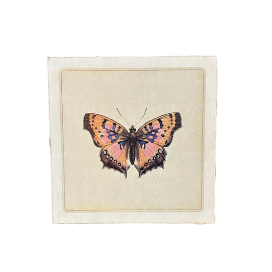 Pink Butterfly - Flora & Fauna Collection