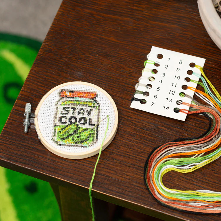 Mini Cross Stitch Embroidery Kit - Pickle Jar