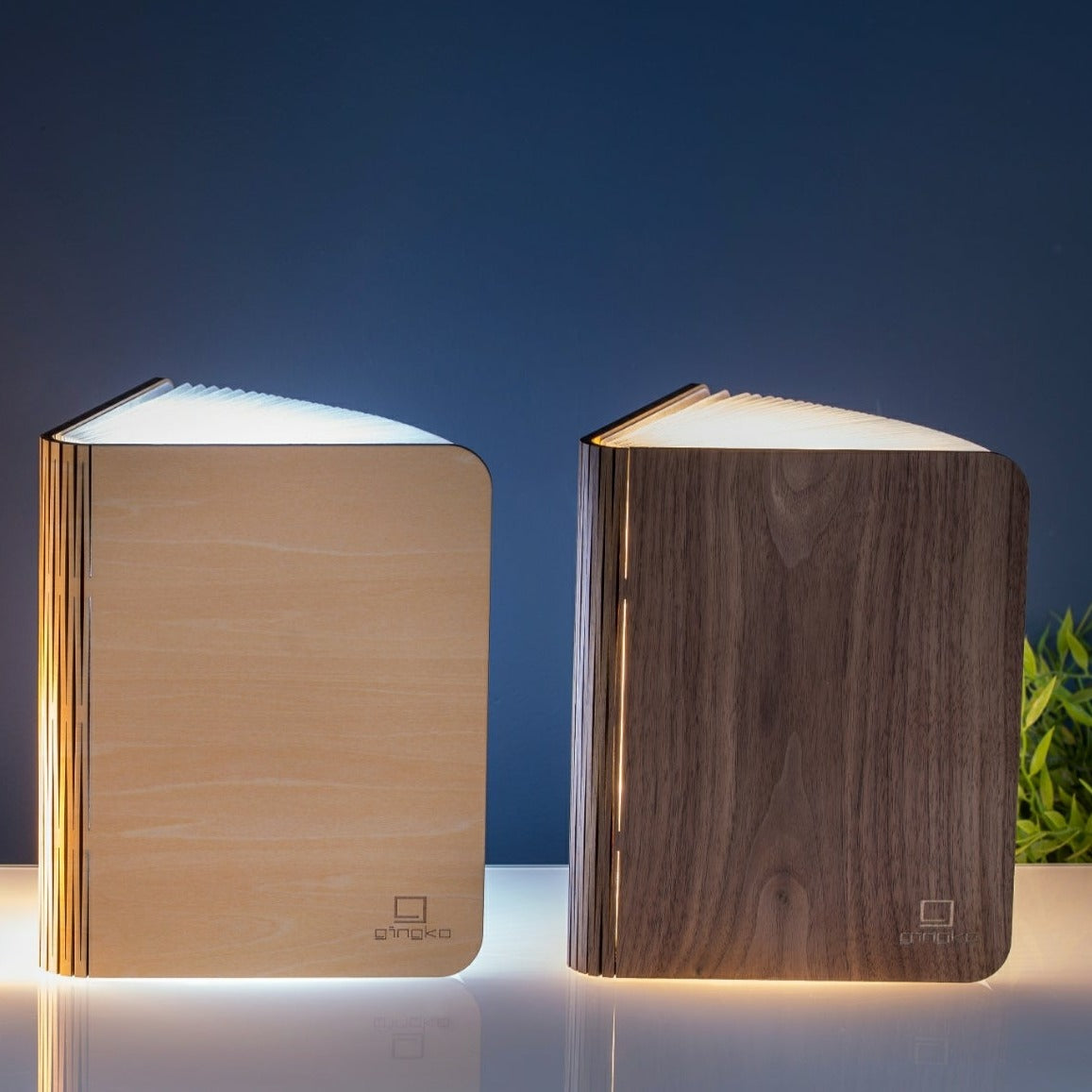 Smart Book Light (Natural Wood)