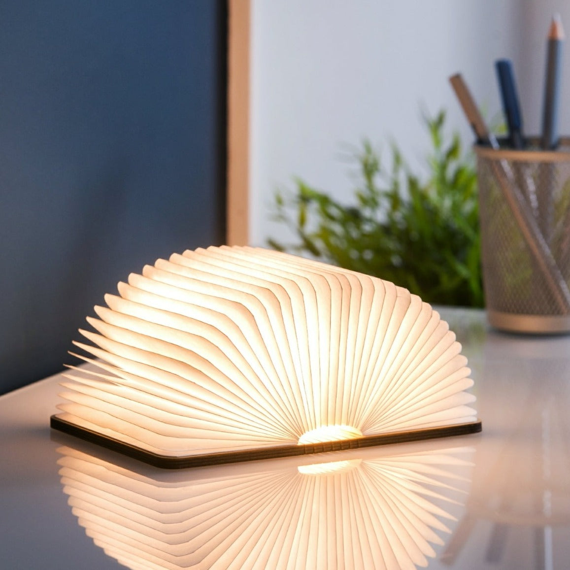 Smart Book Light Natural Wood