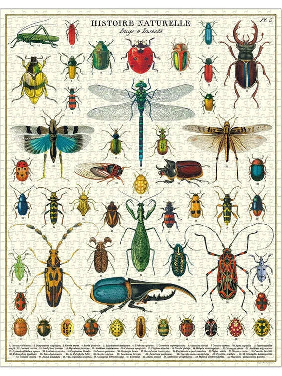Bugs & Insects 1000 Piece Puzzle