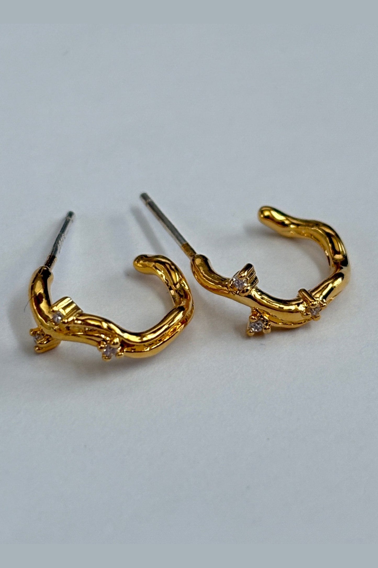 Naomi Hoop Earrings