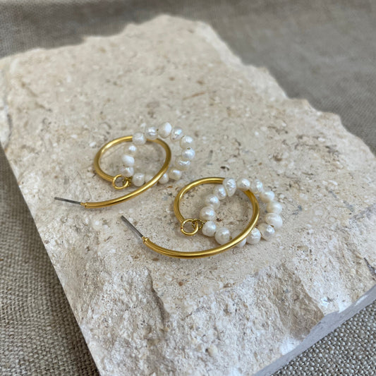 Dana Hoop Stud Earrings