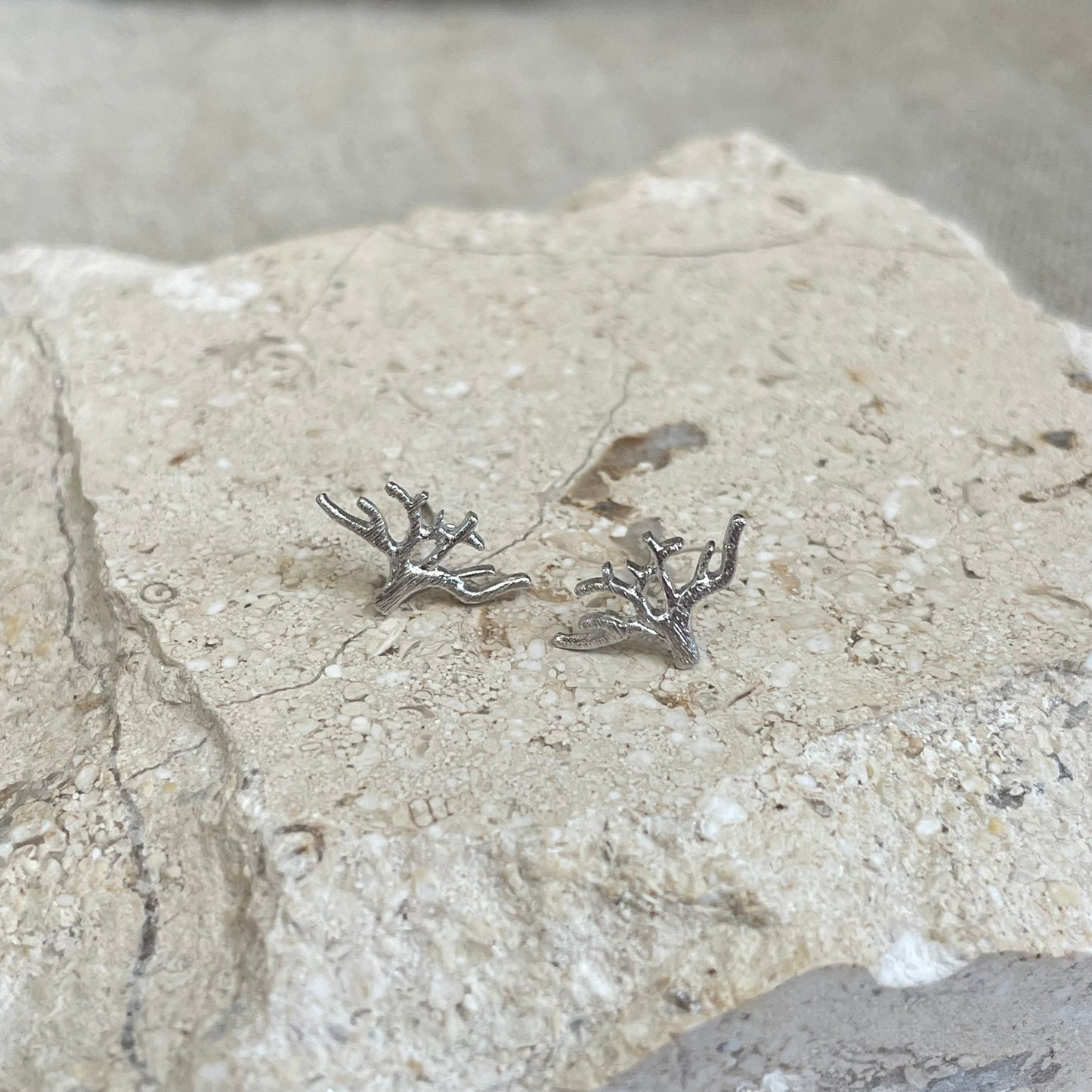 Desert Tree Earrings