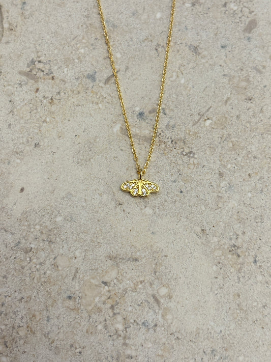 The Moth Necklace
