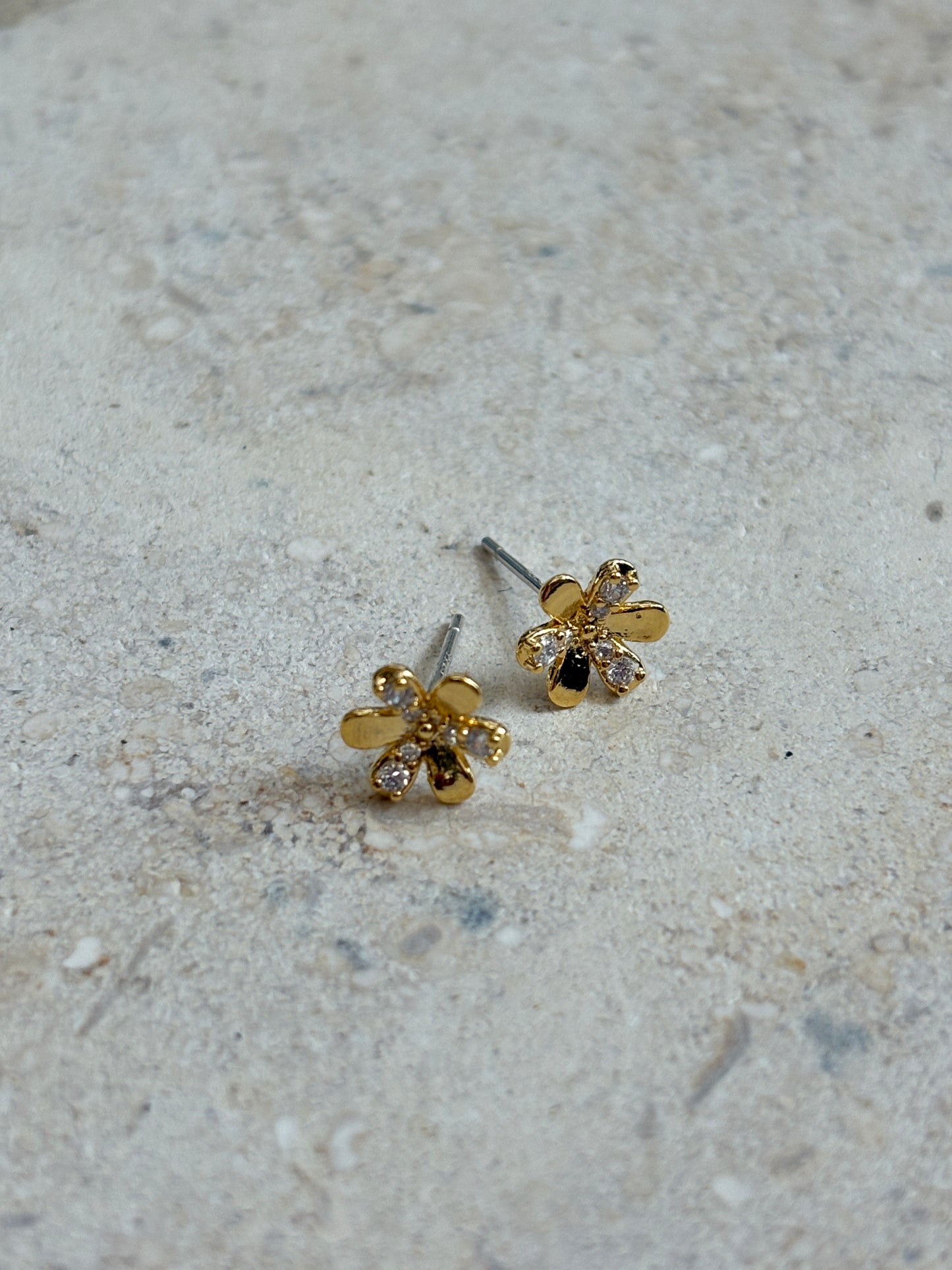 Cote Stud Earrings