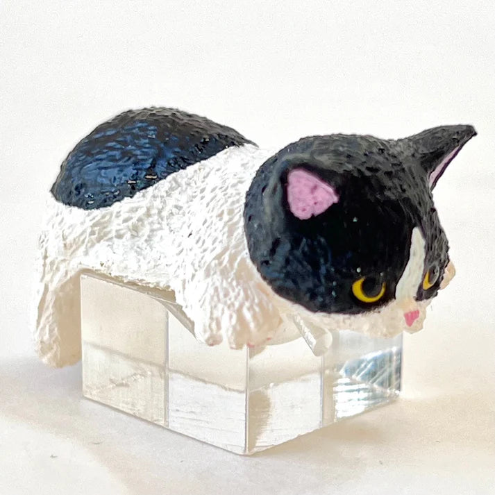 Resting Cats Blind Box