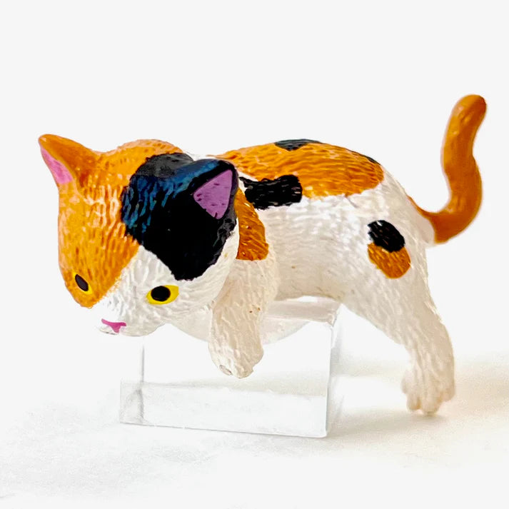 Resting Cats Blind Box