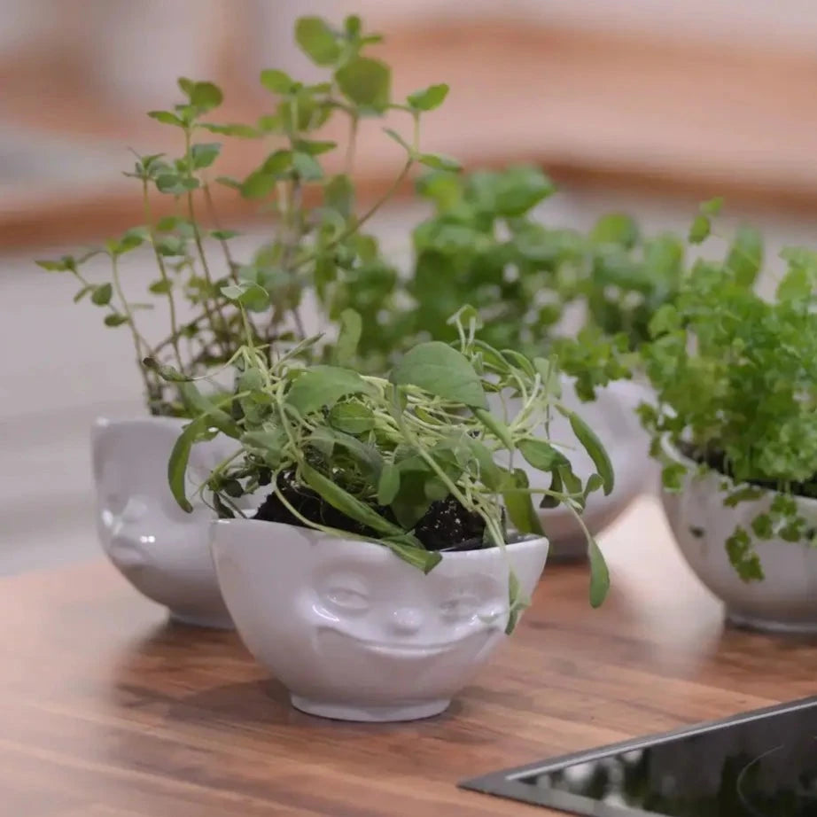 Grinning Face Bowl 16 oz