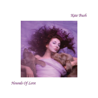 Kate Bush Hounds of Love Album Coaster