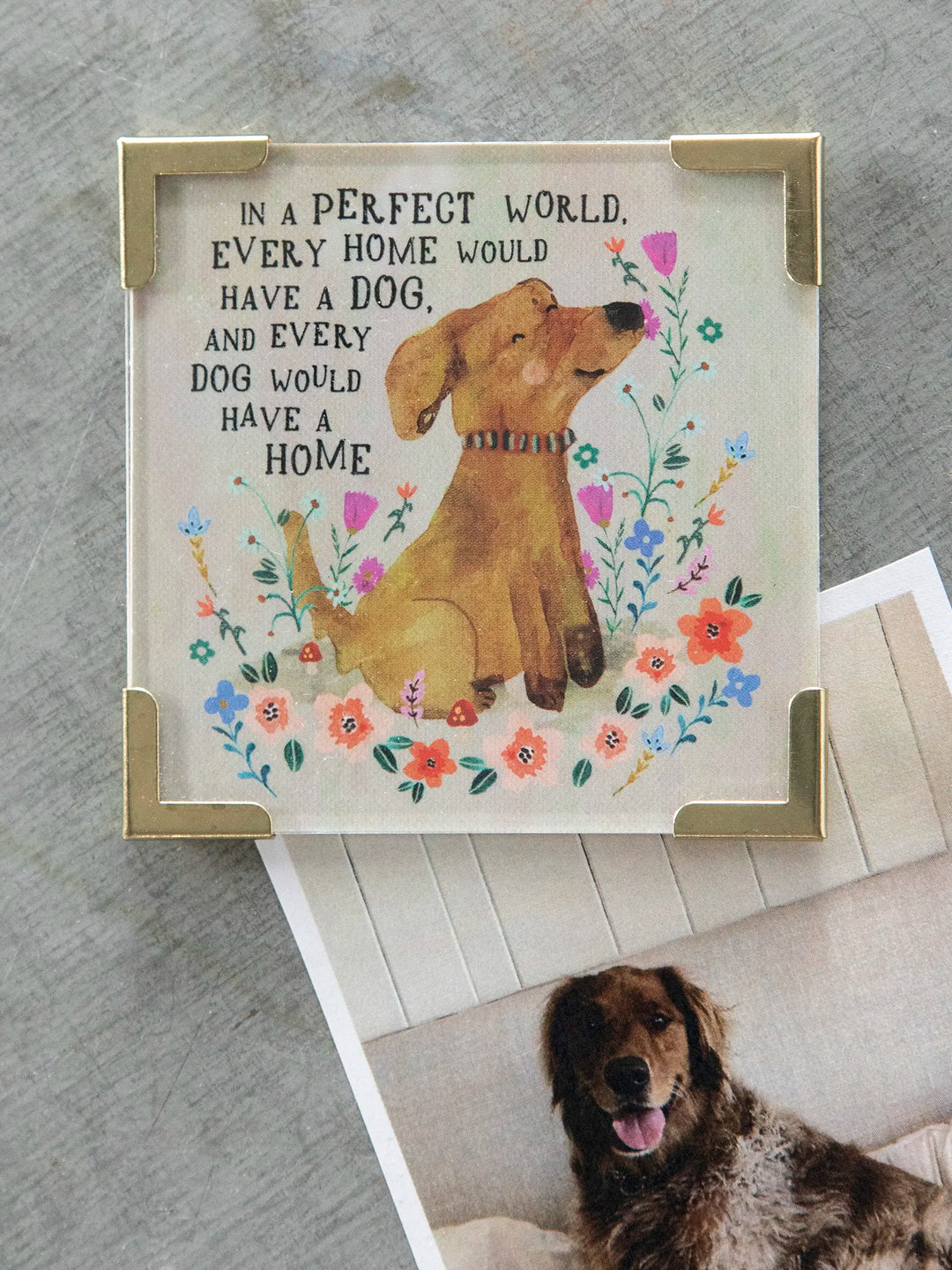 Corner Magnet -
Every Dog Has A Home