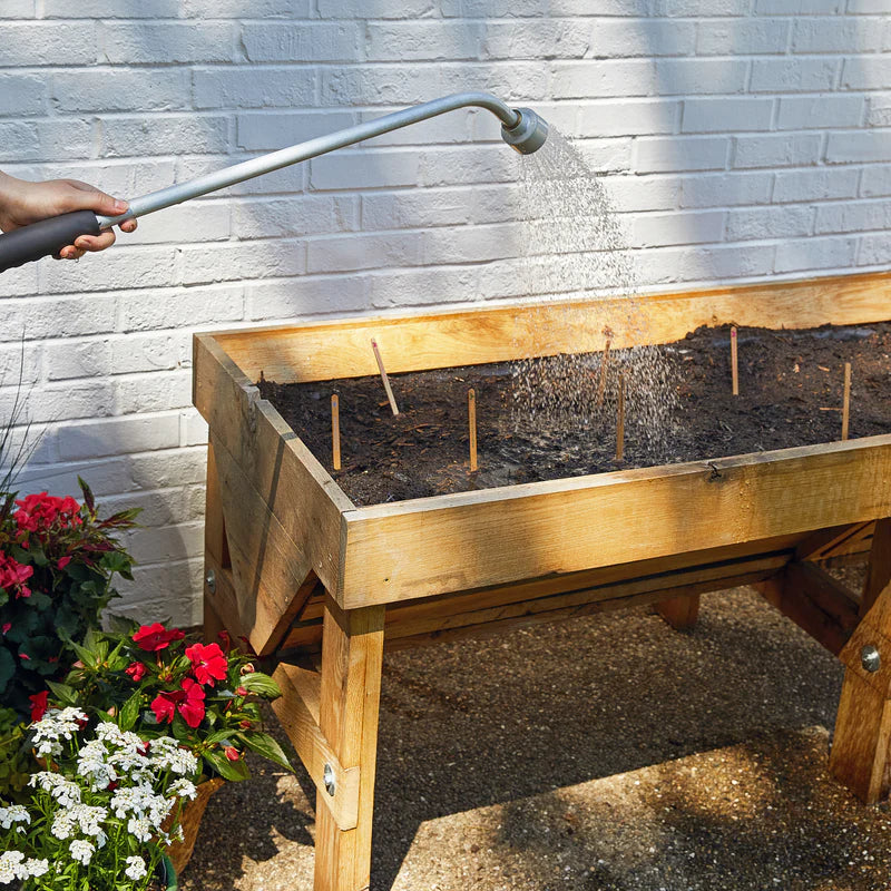 Seed Pops | Pollinator