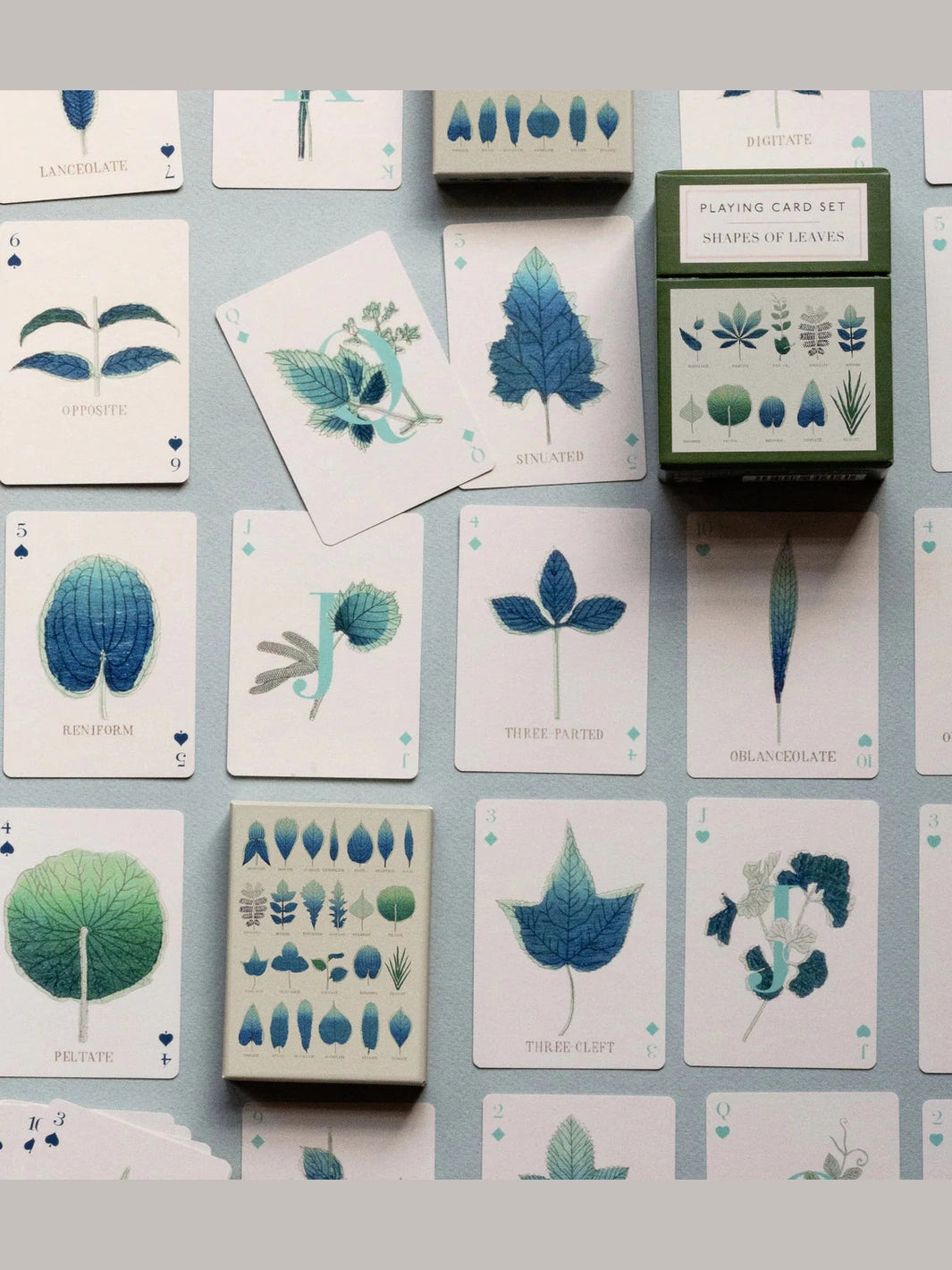 Shapes of Leave Playing Cards | Set of Two Decks