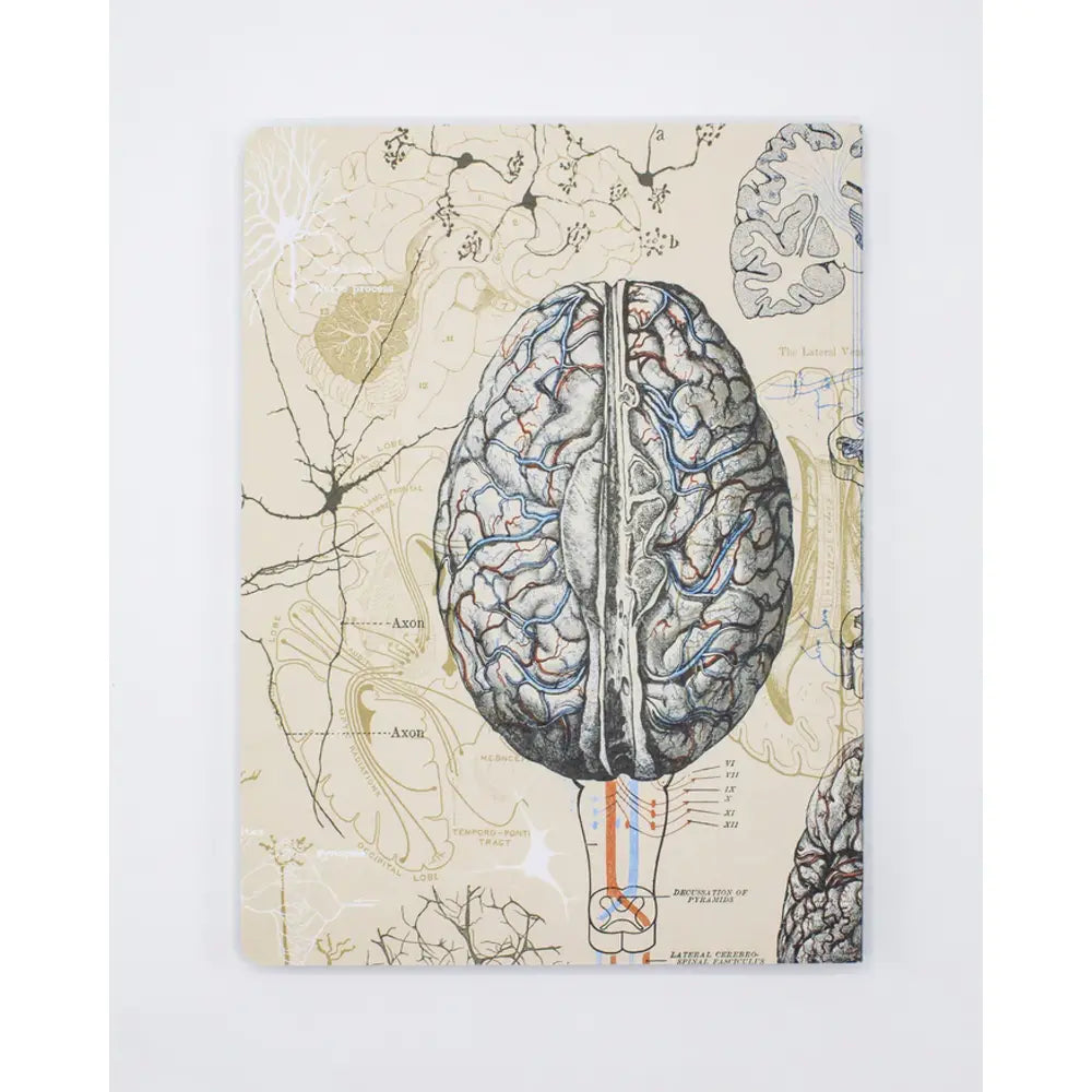Brain & Neuroscience Hardcover Notebook | Lined/Grid