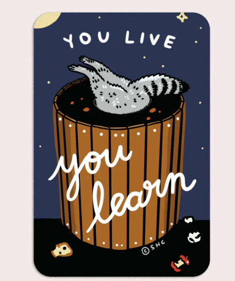 You Live You Learn | Waterproof Vinyl Sticker