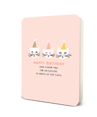 Dress Up The Cats Greeting Card
